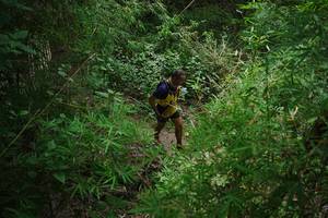 BIB: 
                            <button type="button" onclick="openModal(22241982)" class="btn btn-primary btn-sm float-right btn-popup" data-toggle="modal" data-target=".modal-high-quality">
                        <i class="fas fa-shopping-cart"></i> Add to Cart
                    </button>
                                            <button type="button" onclick="isThisMe(22241982, true)" class="btn btn-success btn-sm float-right btn-popup btn-isme hidden" data-toggle="tooltip" data-placement="bottom" title="นี่คือรูปของคุณใช่ไหม คลิกที่นี่เพื่อเอาเข้าอัลบั้ม">
                        <i class="fas fa-plus"></i> Add to album
                    </button>
                    <button type="button" onclick="isThisMe(22241982, false)" class="btn btn-warning btn-sm float-right btn-popup btn-isnotme hidden">
                        <i class="fas fa-ban"></i> Remove from album
                    </button>